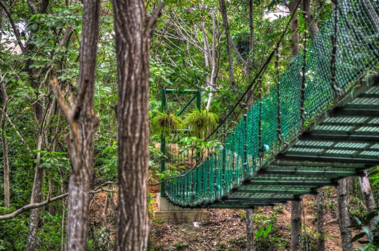 Villa Maria Tayrona, Jungle And Sea Experience Los Naranjos Bagian luar foto