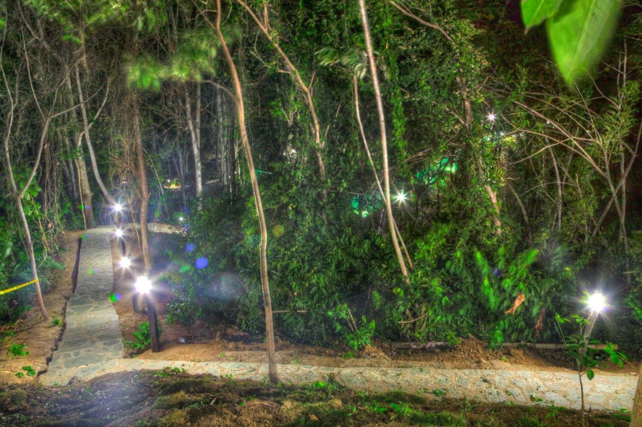 Villa Maria Tayrona, Jungle And Sea Experience Los Naranjos Bagian luar foto