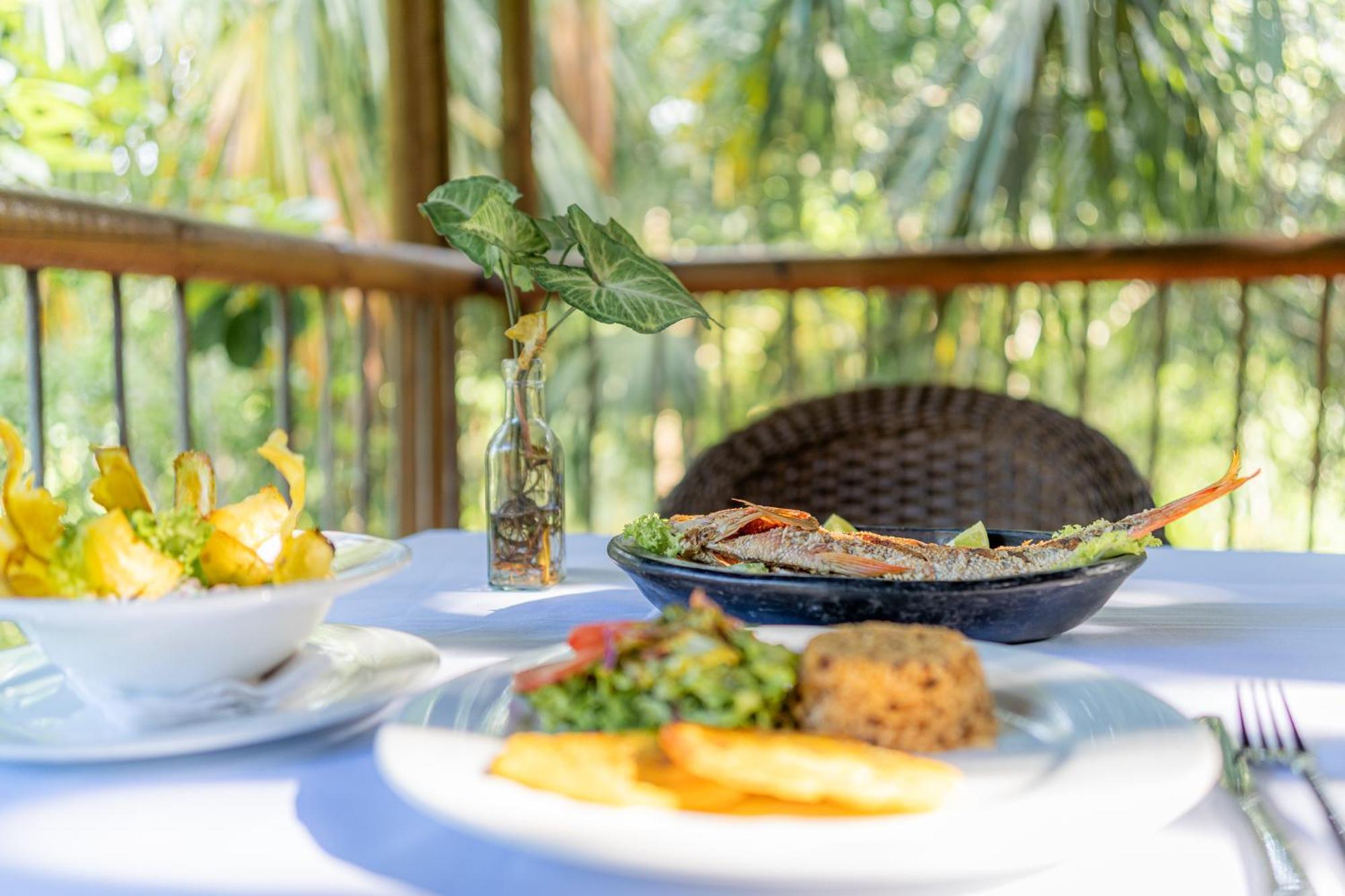 Villa Maria Tayrona, Jungle And Sea Experience Los Naranjos Bagian luar foto