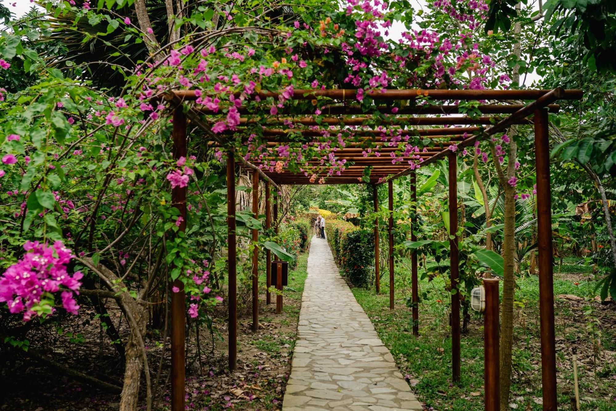 Villa Maria Tayrona, Jungle And Sea Experience Los Naranjos Bagian luar foto